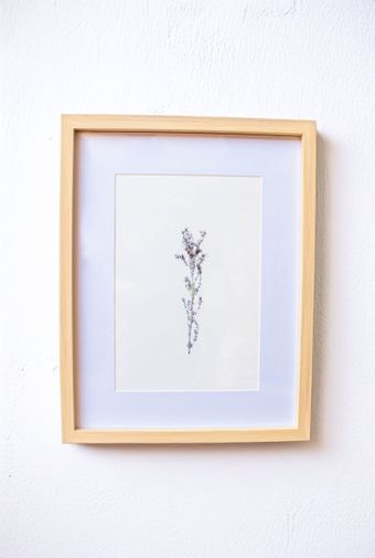 Quadro decorativo Botanico de inverno IV -7- 1.jpg